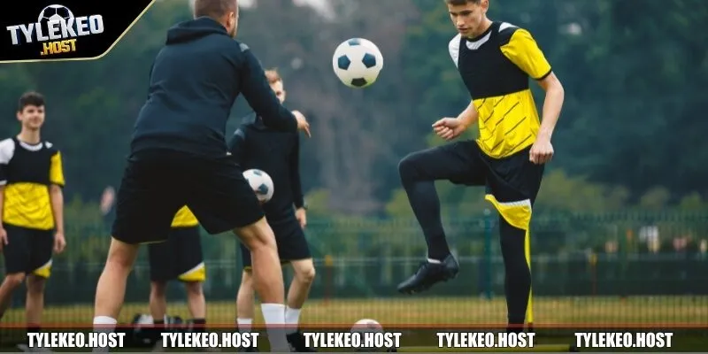 Những kinh nghiệm chơi cá cược từ cao thủ