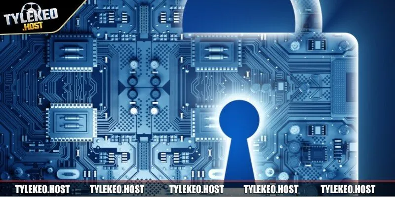 Quyền lợi của người tham gia