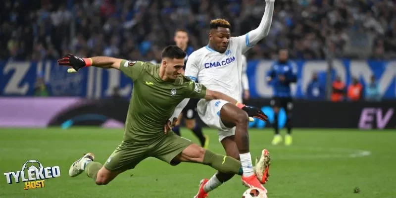 Check lịch sử đá để đưa ra dự đoán có tính chính xác cao