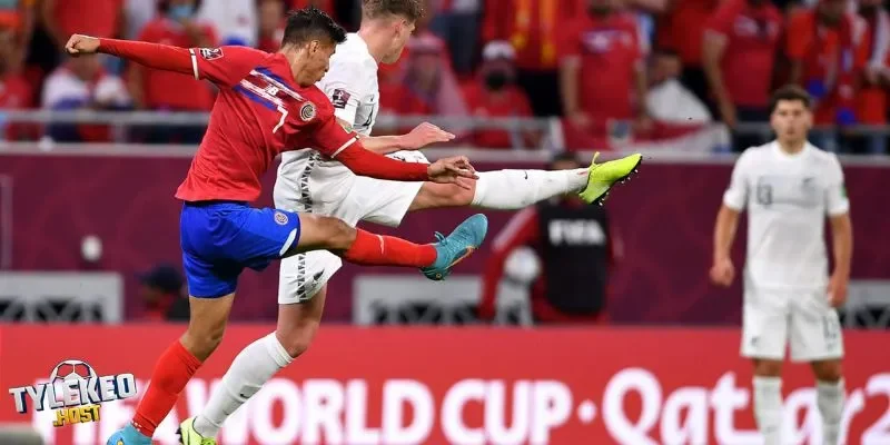 Ty Le Keo Nha Cai: Kèo Chẵn Lẻ Dễ Chơi Dễ Trúng Thưởng