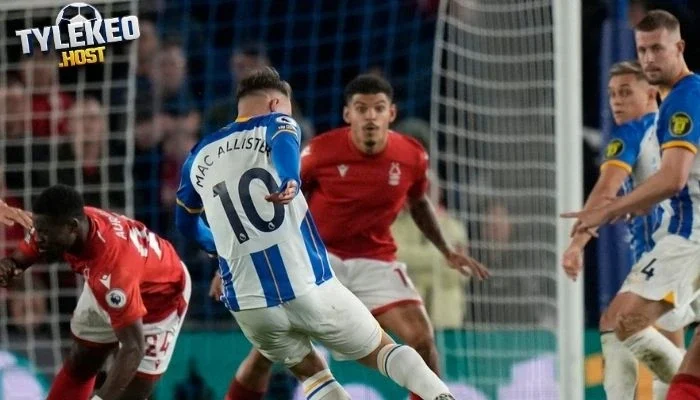 Nhận định về 2 tuyển Nottingham vs Brighton